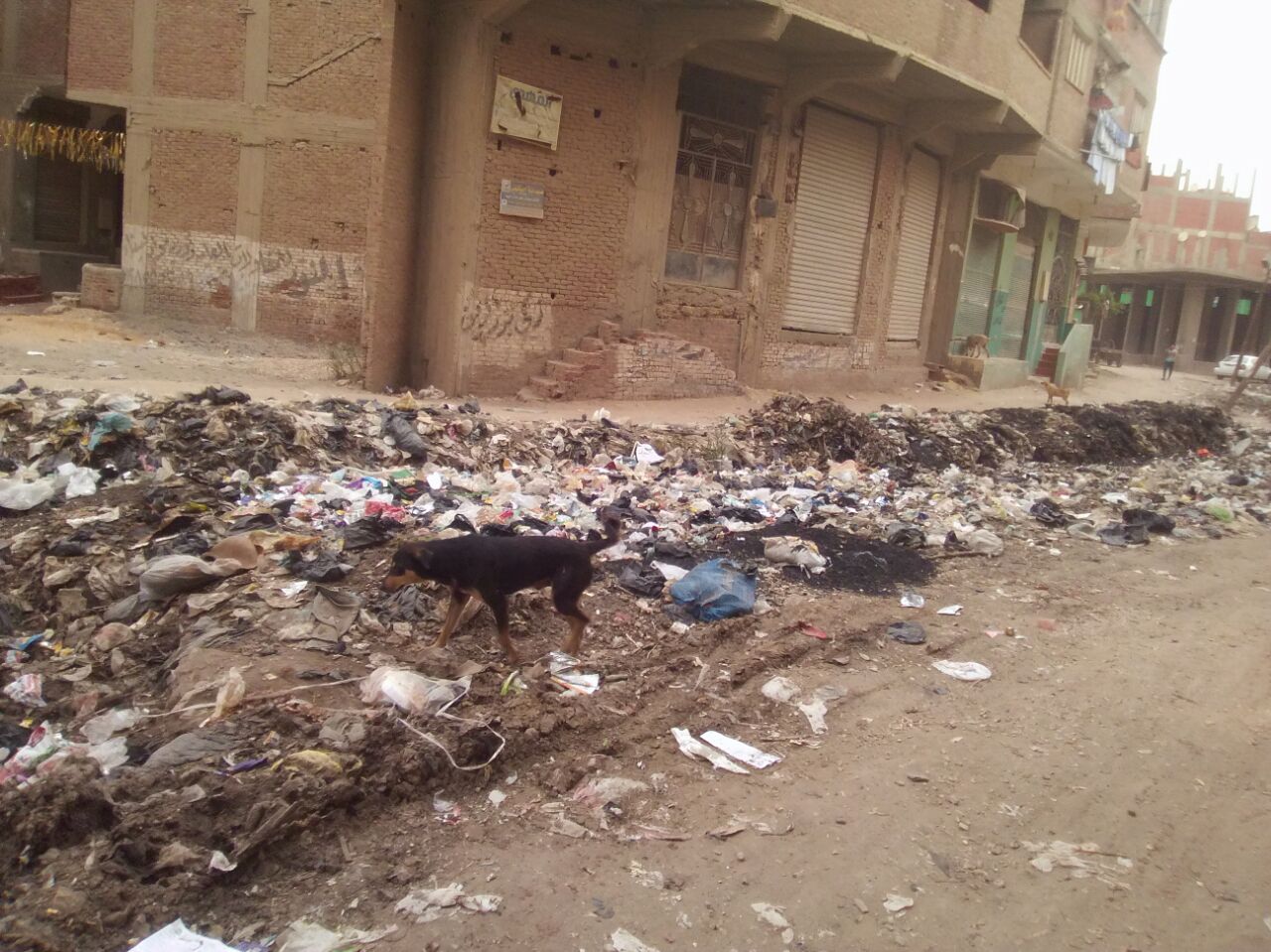 رشاح بمنطقة البقوشى فى الخصوص (1)