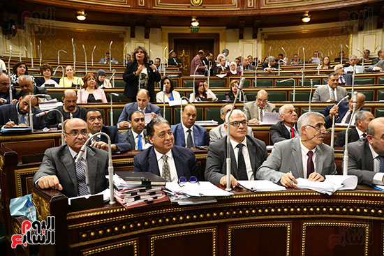 صور الجسلة العامة بمجلس النواب (6)
