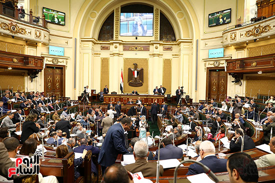 صور الجسلة العامة بمجلس النواب (4)