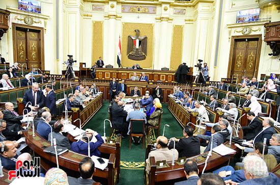 مجلس النواب (9)
