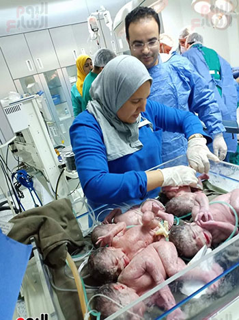 العناية بالأطفال التوائم العناية بالأطفال التوائم