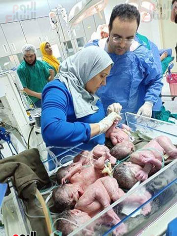 أم تضع توائم 5 بكفر الشيخ أم تضع توائم 5 بكفر الشيخ