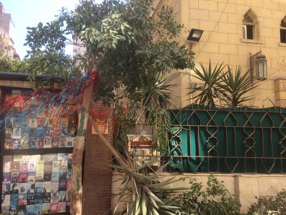 قطع الأشجار فى الإسكندرية (3)