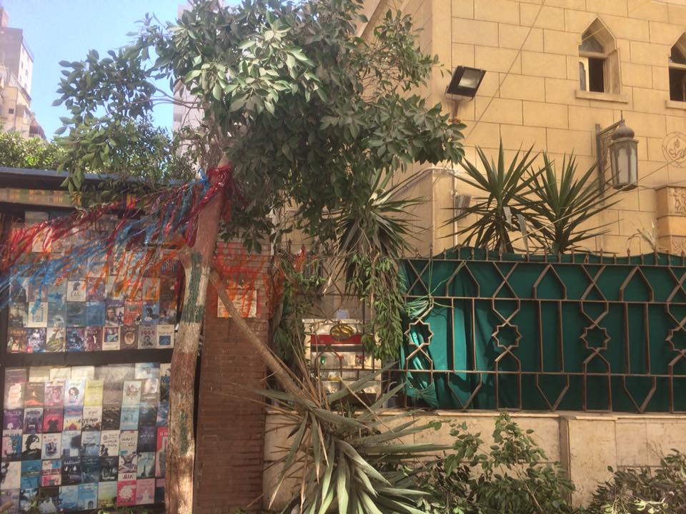 قطع الأشجار فى الإسكندرية (2)
