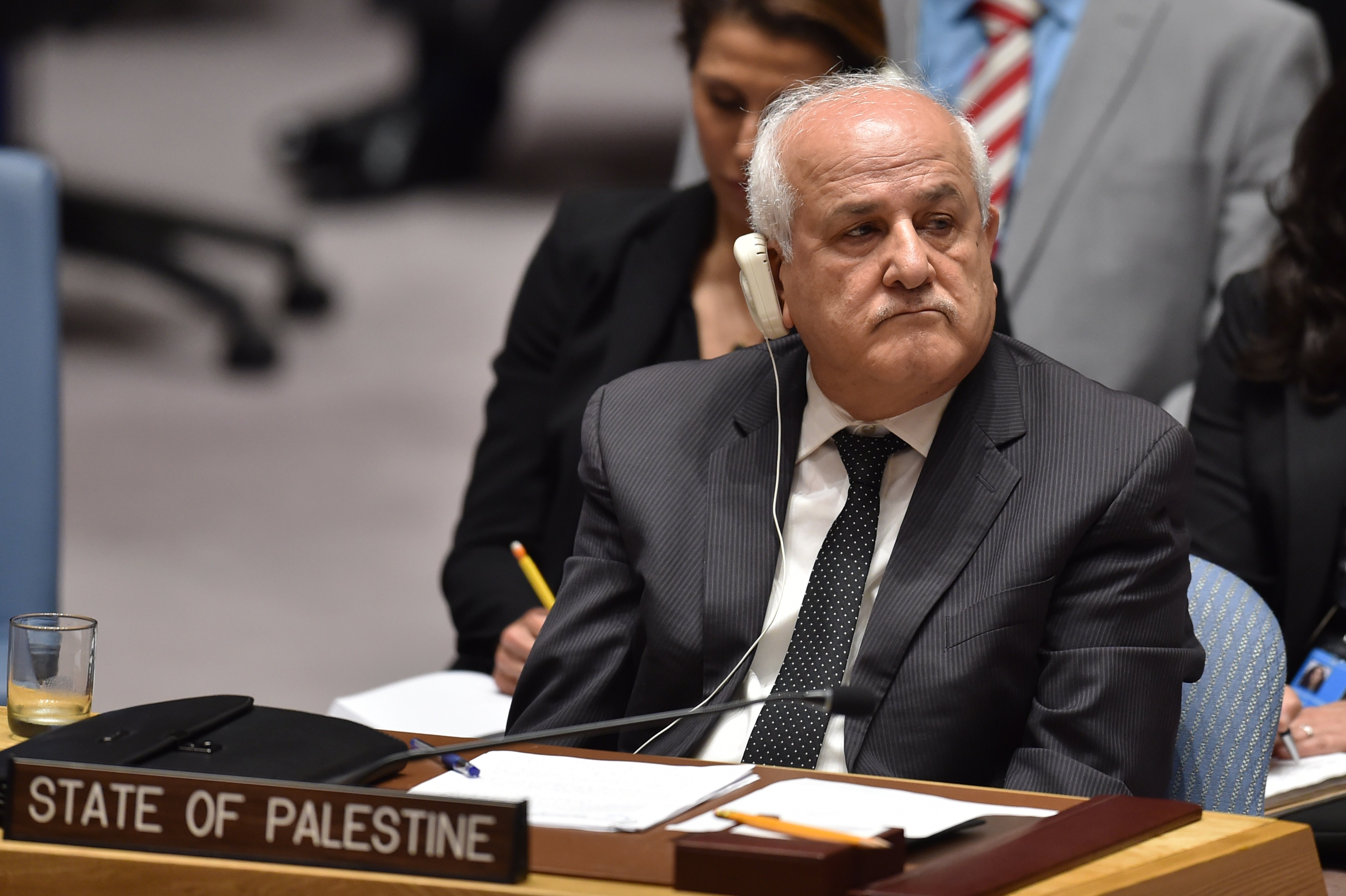 مندوب فلسطين فى مجلس الأمن