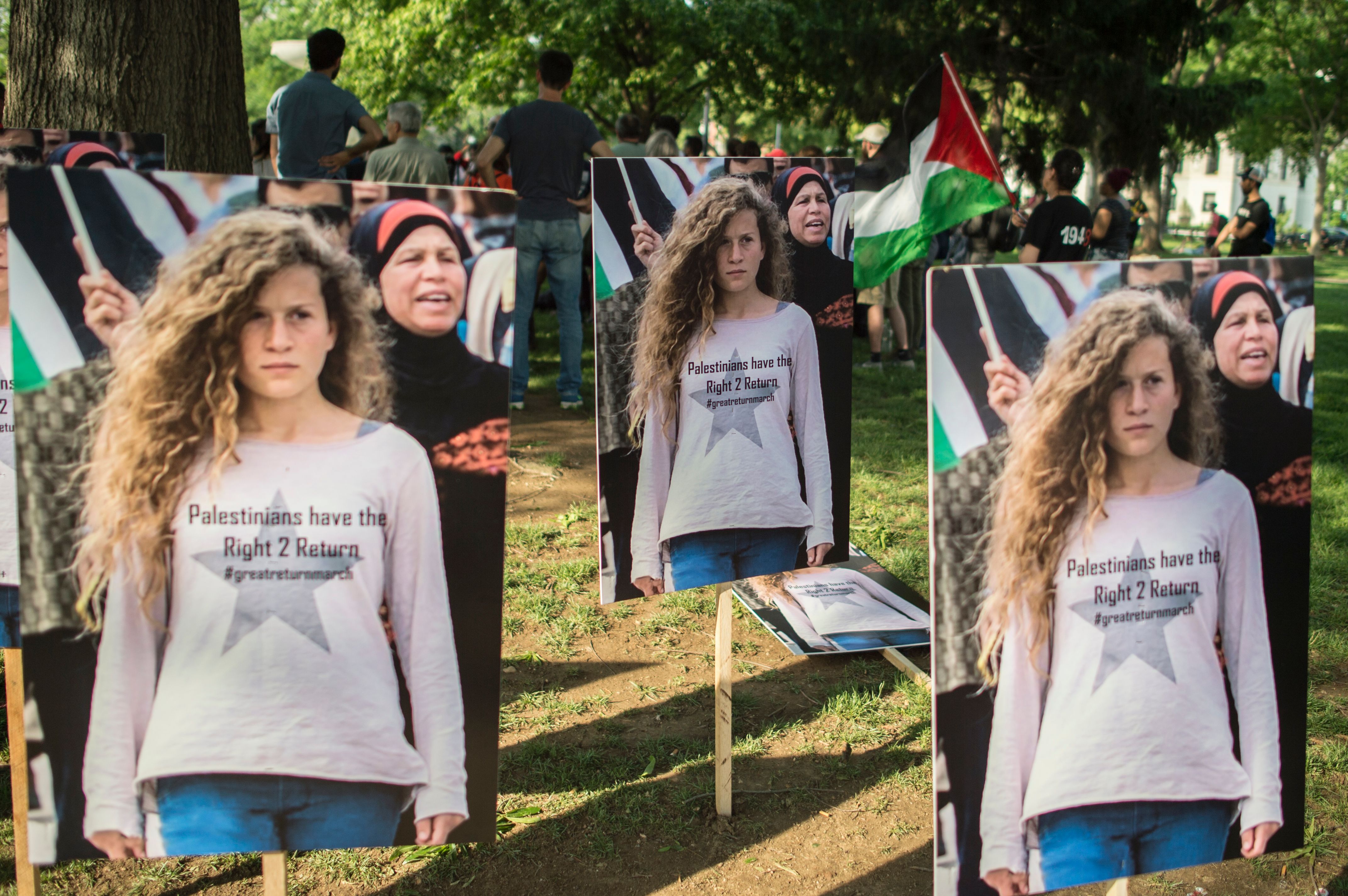 صورة عهد التميمي صورة عهد التميمي