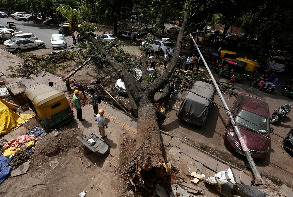 سقوط أشجار فى الهند بسبب عاصفة ترابية