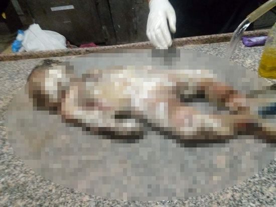 جثة الرضيع فهد بعد تحللها تماما لدفنها بعد الوفاة ب 50 يوما