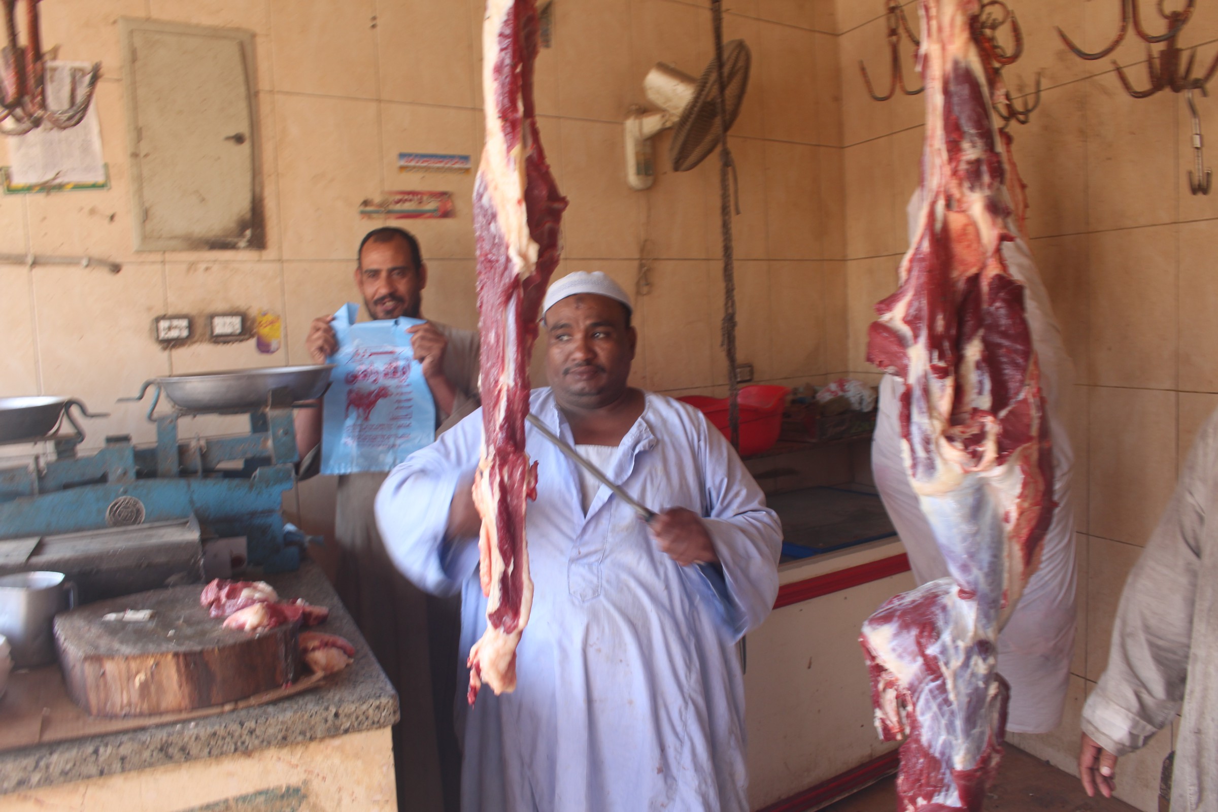 الأسواق وموائد الرحمن على رادار "الصحة" فى رمضان.. نشر المفتشين بمنافذ البيع للجمهور لمواجهة الغش.. فرق وقائية بكافة المحافظات لمواجهة التسمم الغذائى.. الإعداد لـ1000 حملة على المنشآت الغذائية حتى عيد الفطر 520660-%D8%B5%D9%88%D8%B1-%D8%A7%D8%B3%D9%88%D8%A7%D9%82-(2)