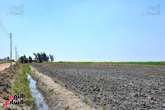 نقص مياه الري بالأراضي الزراعية