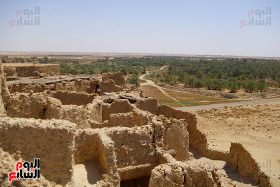 قارة أم الصغير" أصغر واحة مصرية معزولة فى الصحراء