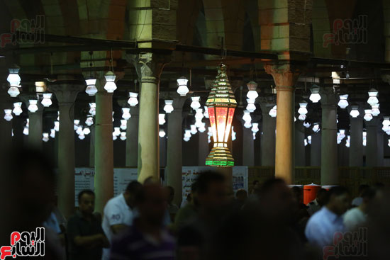 صلاة التراويح بمسجد عمرو بن العاص (15)