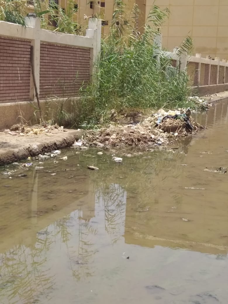 مياه الصرف بشوارع أسوان