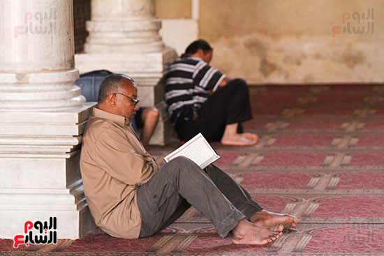 صور مسجد عمر بن العاص (2)