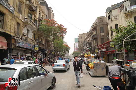 شارع عبد العزيز (2)
