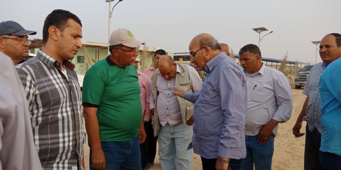 وزير الزراعة يتفقد أعمال مزرعة الـ 20 ألف فدان بغرب  المنيا  (9)