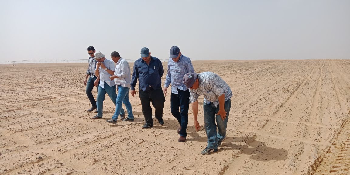 وزير الزراعة يتفقد أعمال مزرعة الـ 20 ألف فدان بغرب  المنيا  (7)