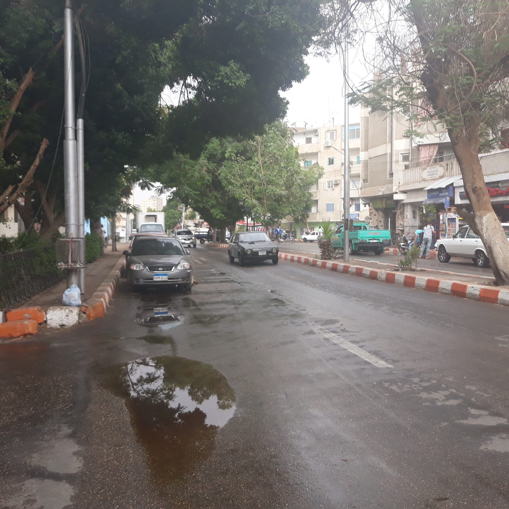 .سقوط أمطار خفيفة بمحافظة قنا  (3)