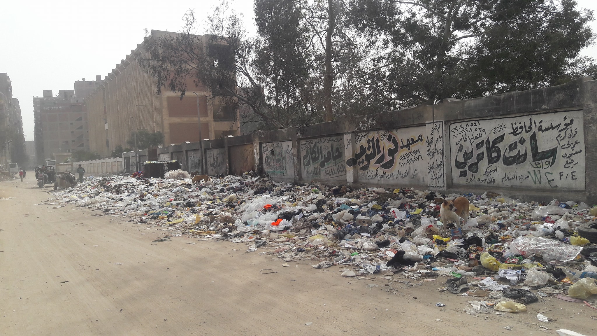 القمامة تحاصر المدرسة (2)
