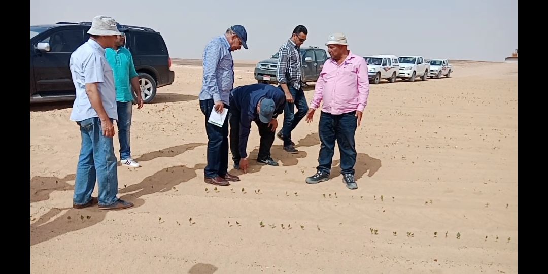 وزير الزراعة يتفقد أعمال مزرعة الـ 20 ألف فدان بغرب  المنيا  (3)