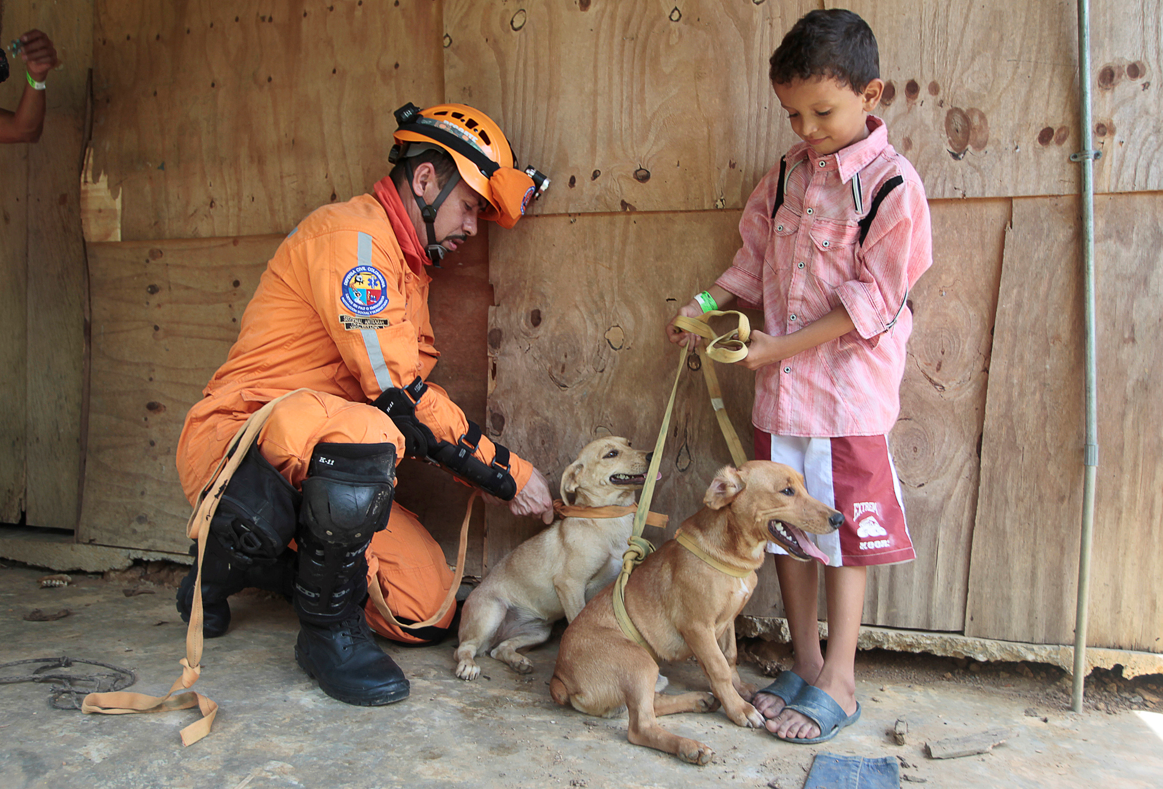 أحد رجال الانقاذ ينقذ طفل و كلبين