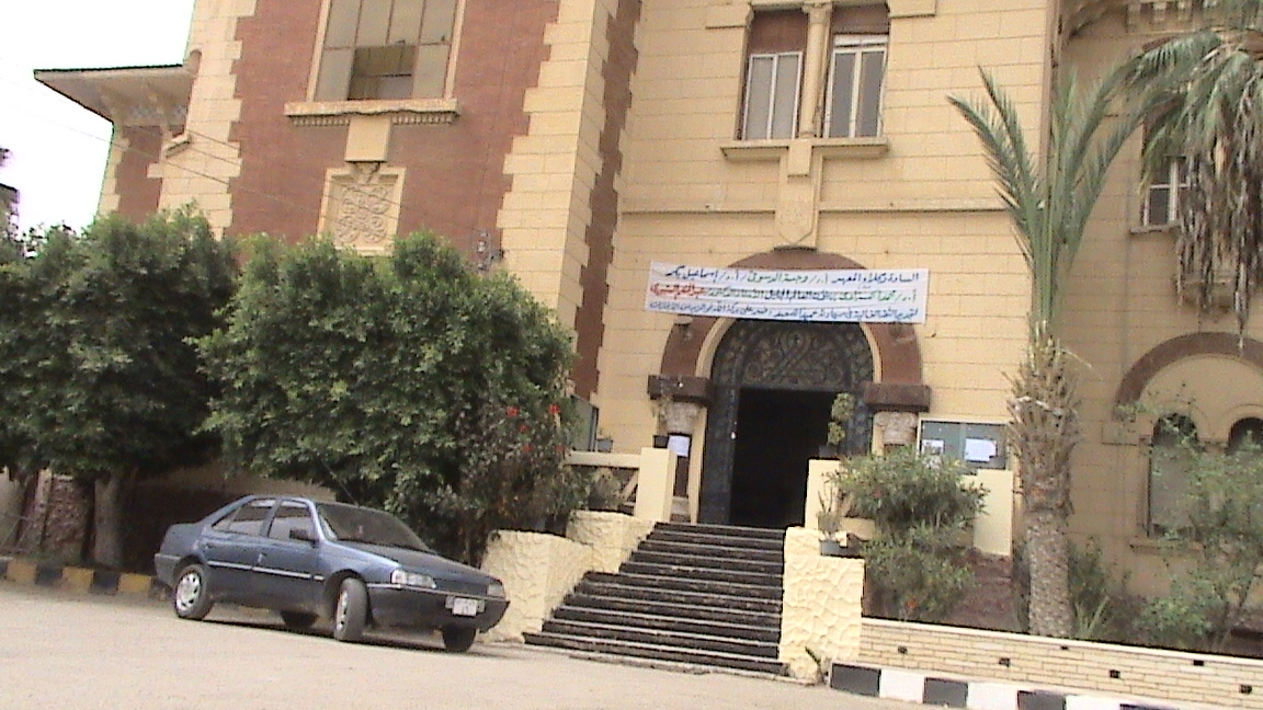 قصر الملك به مبنى المعهد العالى للخدمة الاجتماعية بكفر الشيخ