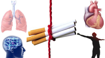 التدخين يؤثر على القلب ويسبب  الوفاة
