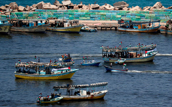  مراكب الصيد فلسطينية 