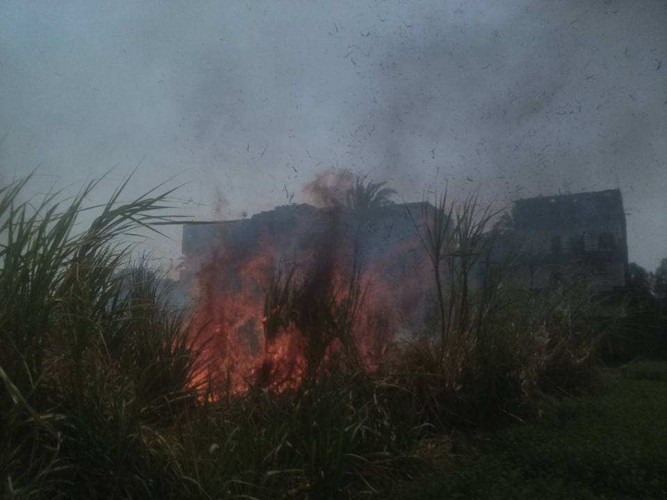 جانب من النيران في زراعات القصب بقرية الفحاحرة دون مصابين