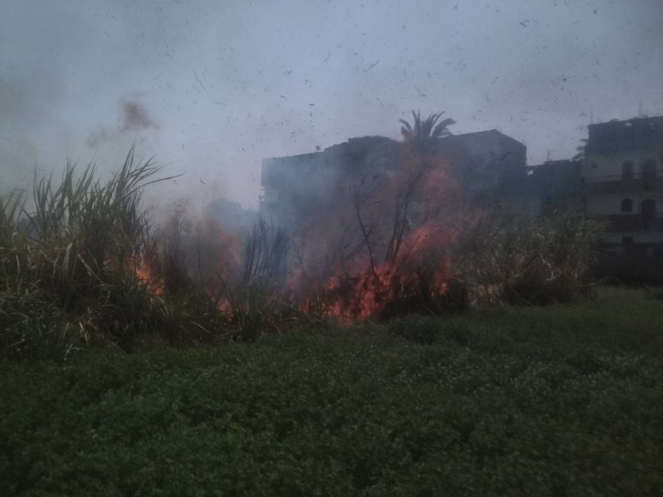 السيطرة علي حريق في زراعات القصب بمنطقة الحبيل قبل وصولها للمنازل دون مصابين