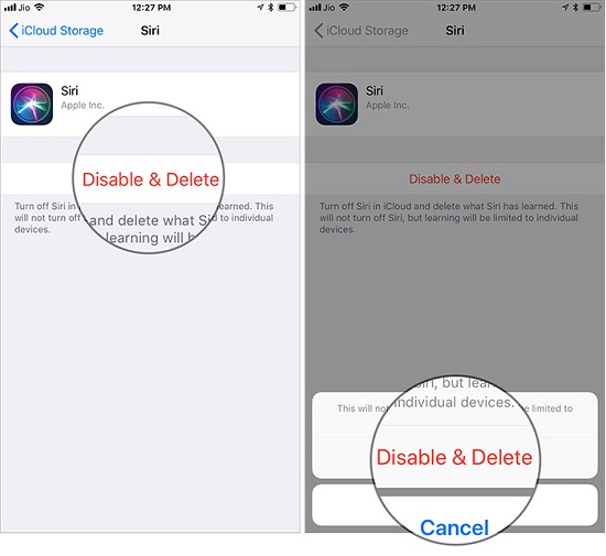 Tap-on-Disable-Delete-to-Remove-Siri-Data-from-iCloud-on-iPhone