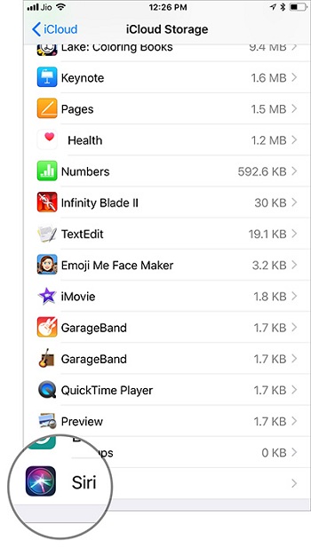 Tap-on-Siri-in-iPhone-iCloud-Storage-Settings