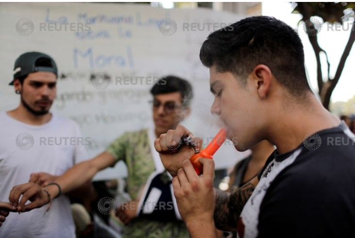 متظاهرون يدخنون الماريجونا 