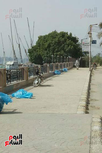 اكياس القمامة خلال رفع المخلفات من نهر النيل