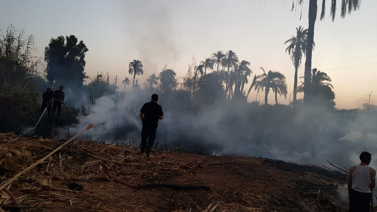 الحماية المدنية بسوهاج تسيطر على حريق هائل بنبات الهيش والبوص (4)