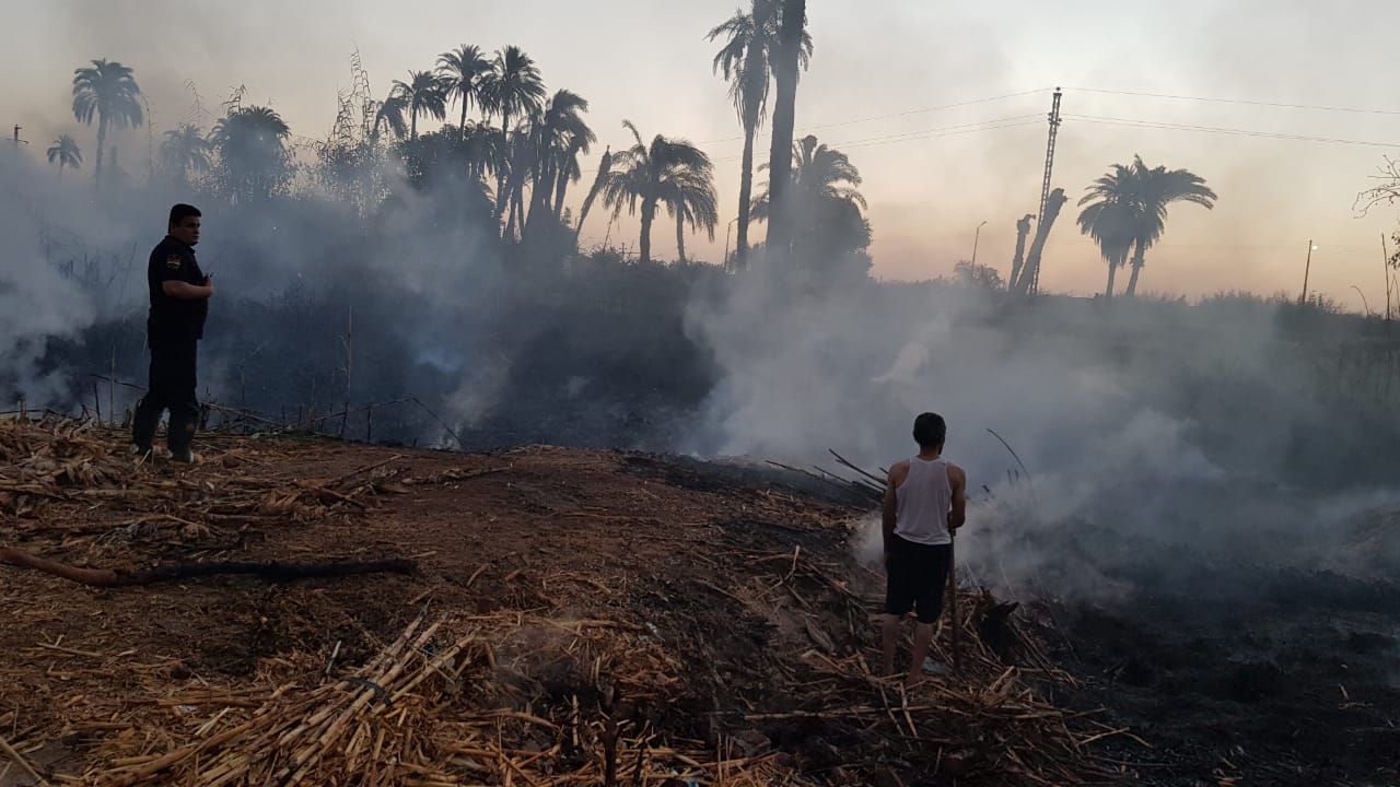 الحماية المدنية بسوهاج تسيطر على حريق هائل بنبات الهيش والبوص (5)