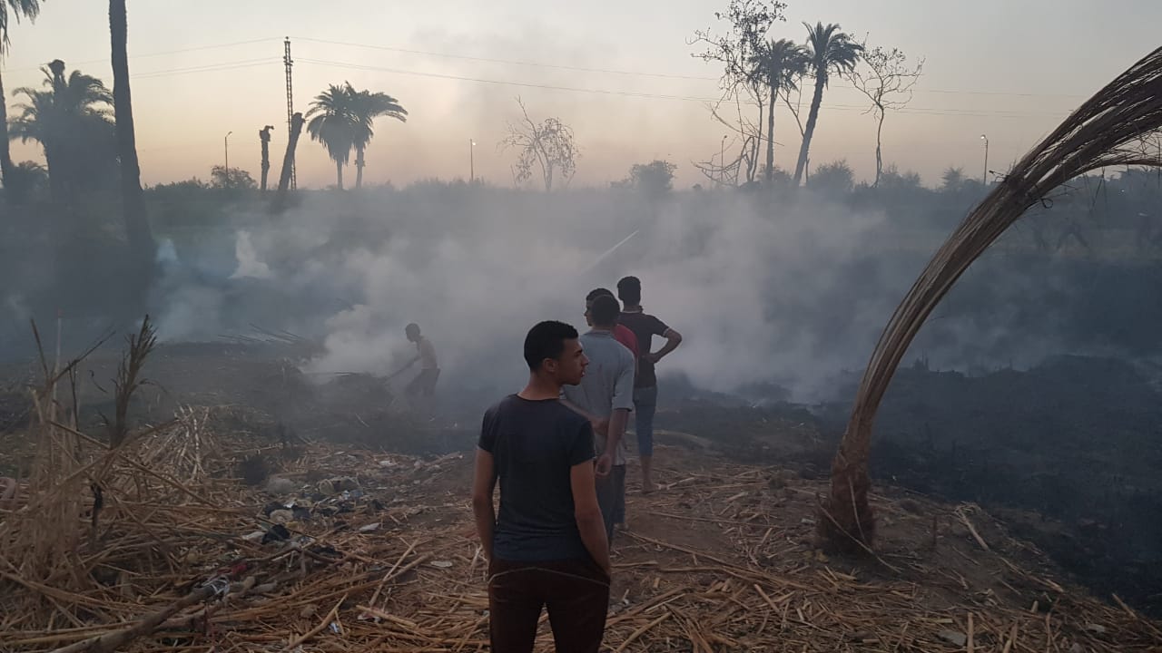 الحماية المدنية بسوهاج تسيطر على حريق هائل بنبات الهيش والبوص (6)