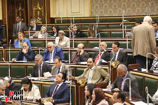 مجلس النواب (17)
