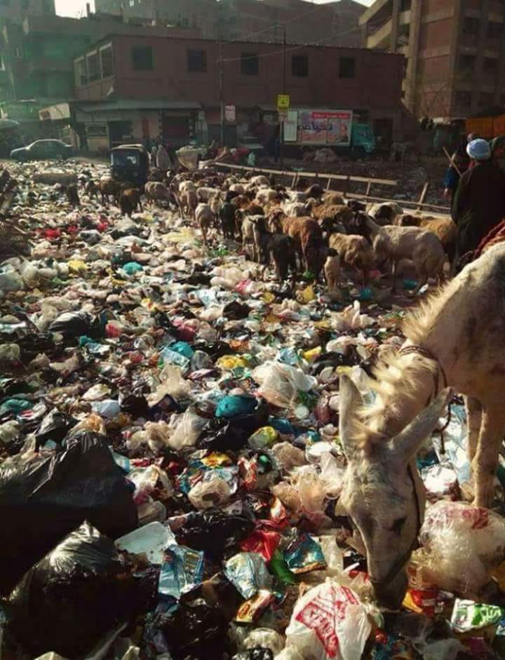 انتشار القمامة بشوارع حى شبرا الخيمة (1)