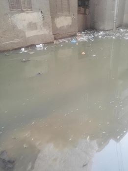 شارع عبد السلام عارف ببنى سويف يغرق فى مياه الصرف الصحى  (2)