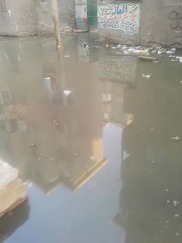 شارع عبد السلام عارف ببنى سويف يغرق فى مياه الصرف الصحى  (4)