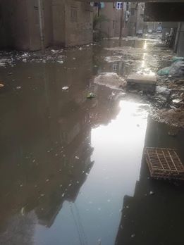 شارع عبد السلام عارف ببنى سويف يغرق فى مياه الصرف الصحى  (1)