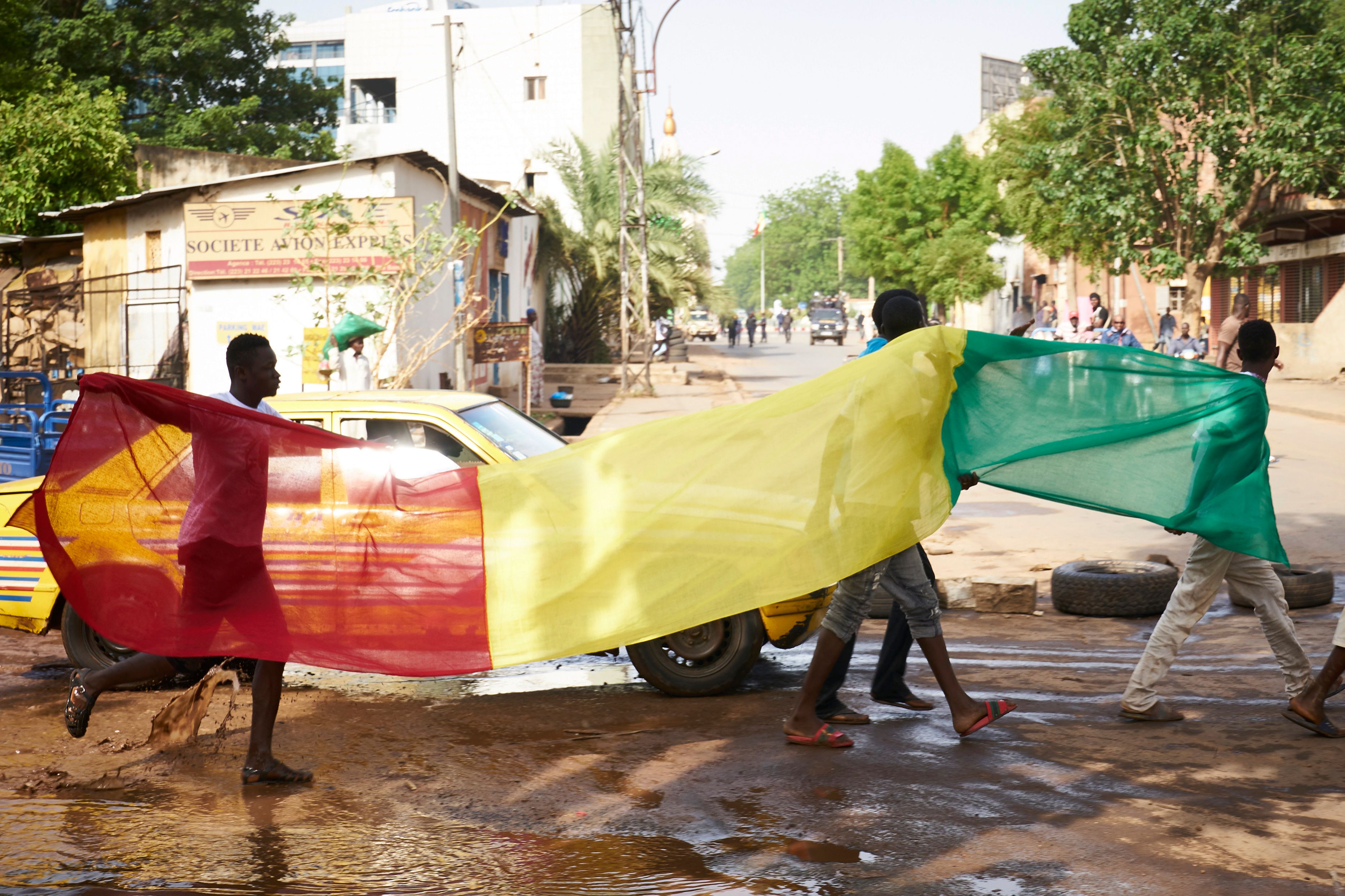 متظاهرون يرفعون علم مالي