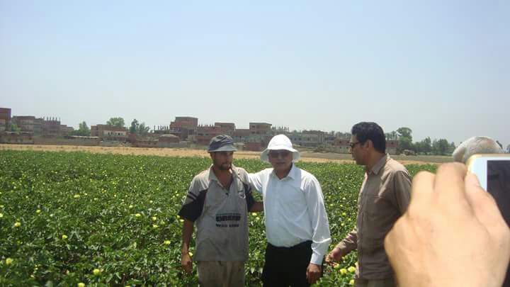 الدكتور عباس الشناوى رئيس قطاع الخدمات الزراعية