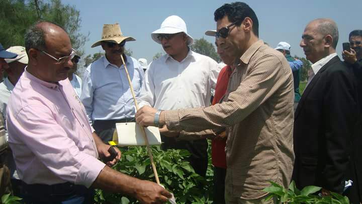 ممدوح السباعى وعباس الشناوى