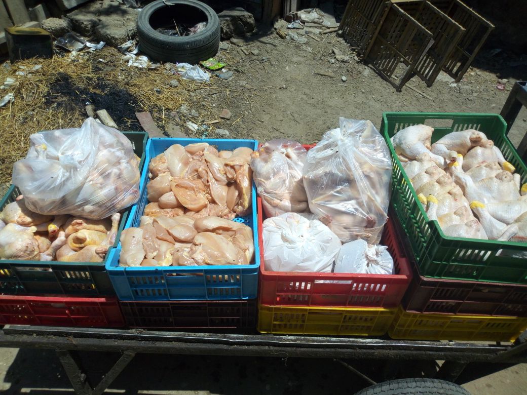 بط 410 كيلو دواجن داخل مجزر منتهية الصلاحية وغير صالحة للاستخدام الامى فى حلوان (3)