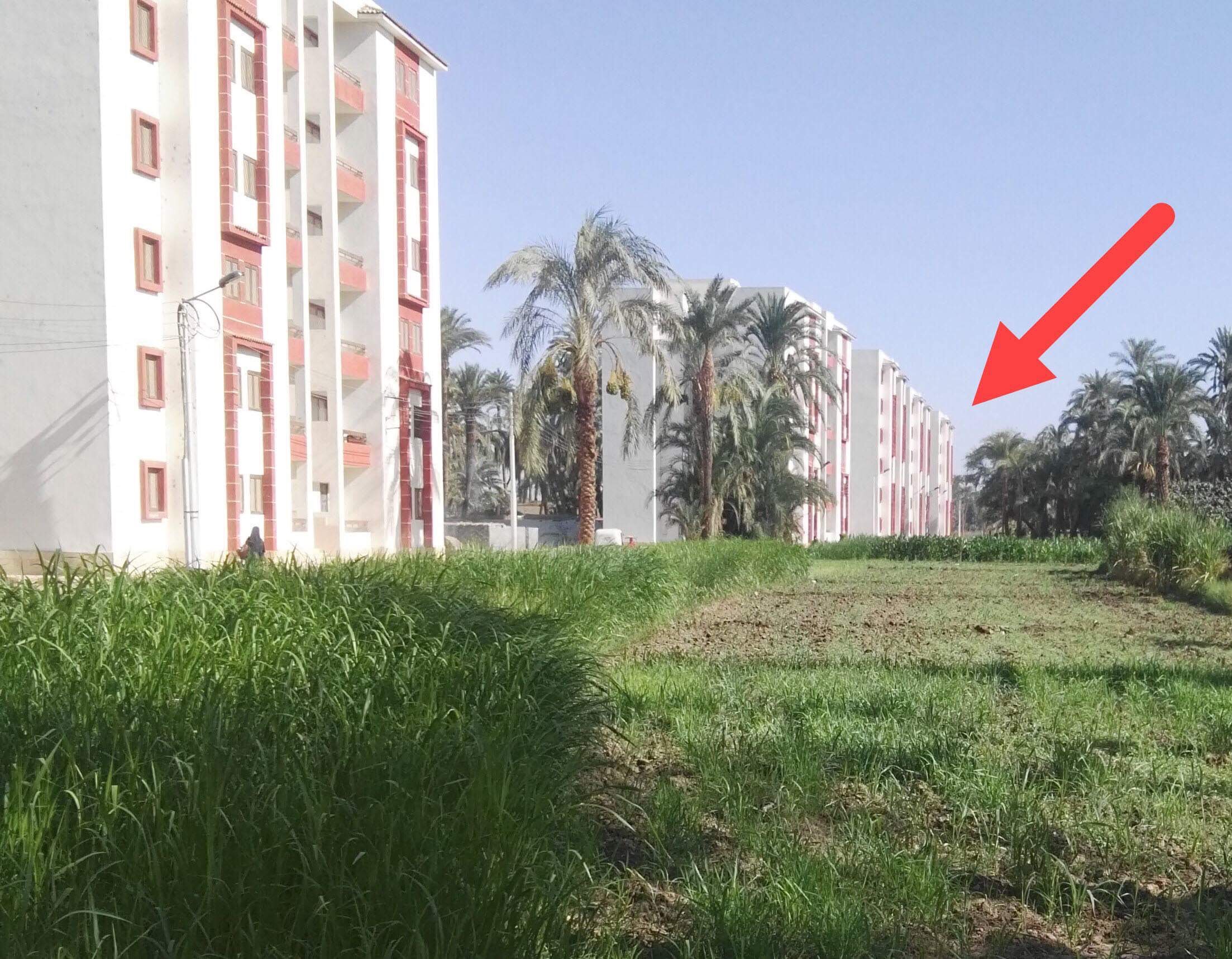 760438-حملة-أمنية-استهدفت-4-إرهابيين-بمركز-الغنايم-في-أسيوط-(1)