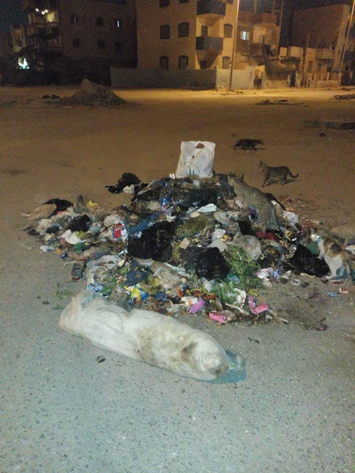 انتشار القمامة فى أحياء مدينة العاشر من رمضان (6)