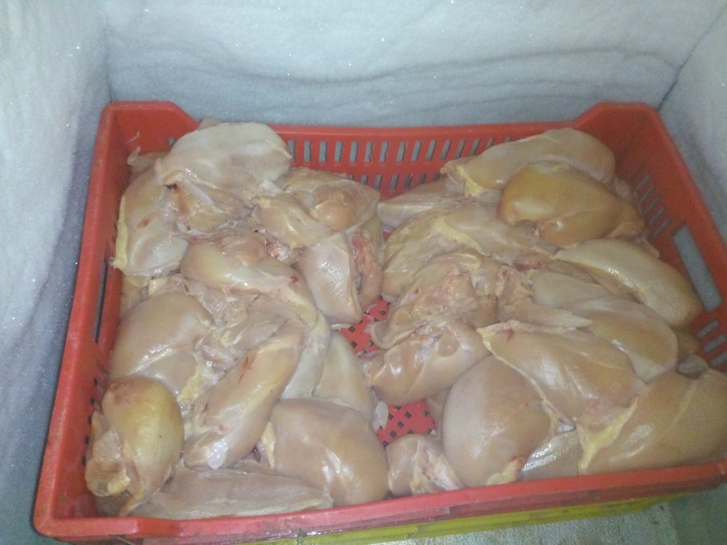 بط 410 كيلو دواجن داخل مجزر منتهية الصلاحية وغير صالحة للاستخدام الامى فى حلوان (2)