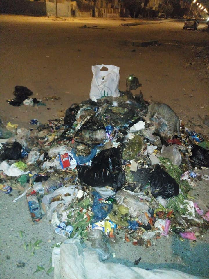 انتشار القمامة فى أحياء مدينة العاشر من رمضان (2)